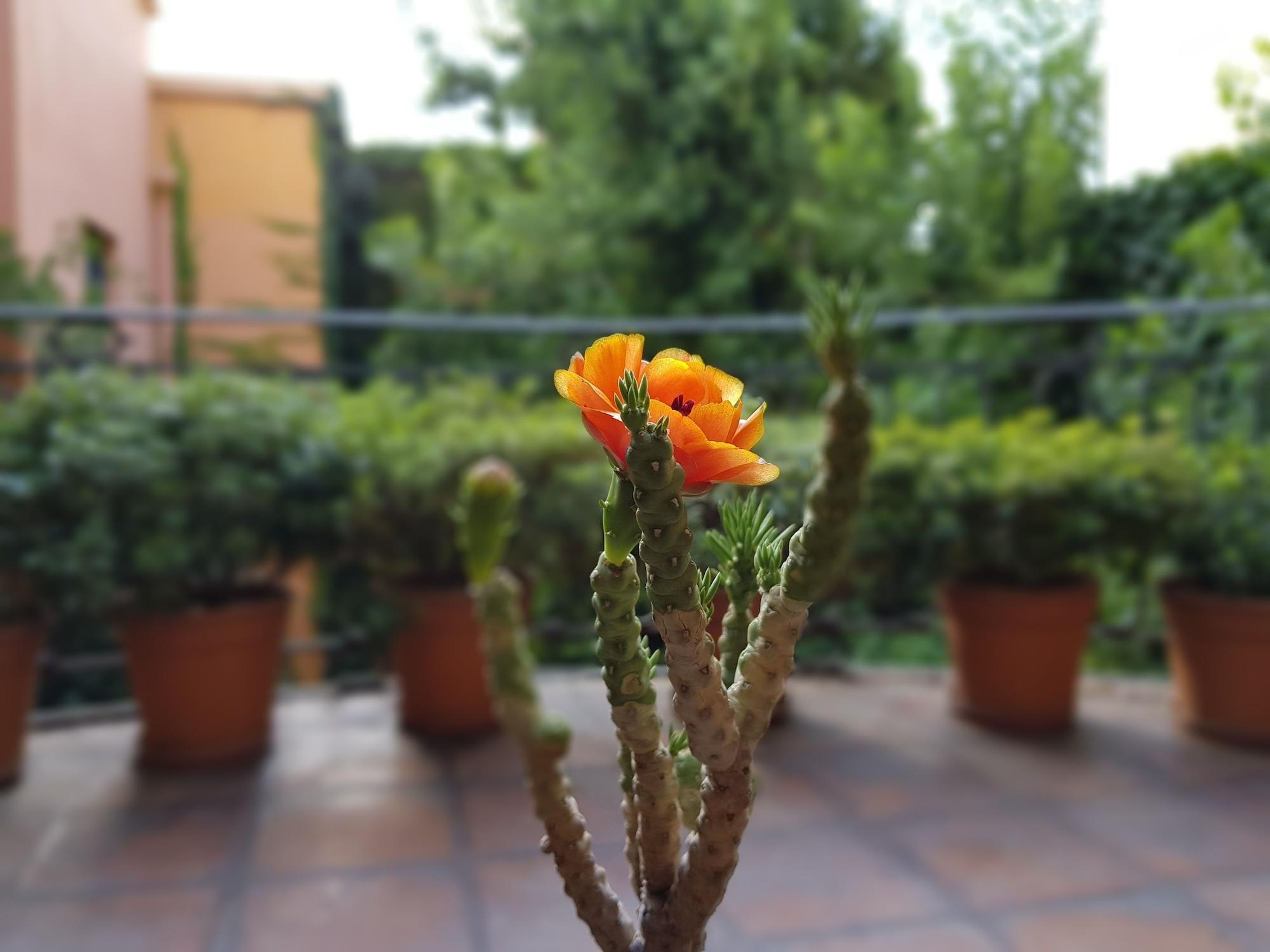 Legado Mitico Salta Hotel Boutique Eksteriør bilde